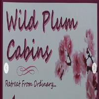 Wild Plum Log Cabins image 2